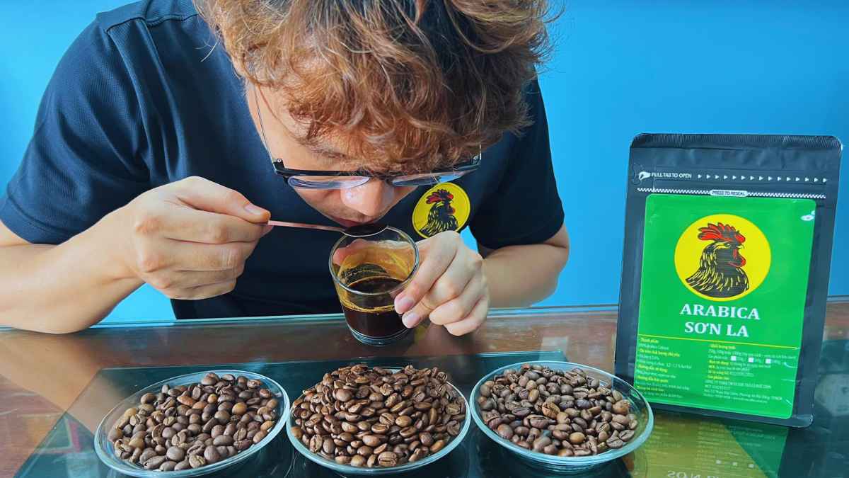 Thưởng thức Arabica bản địa Việt Nam