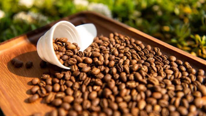 Hạt cà phê Culi Buôn Ma Thuột tròn đặc, giàu caffein, hiếm gặp.