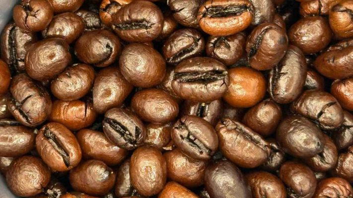 Hạt cà phê Culi tròn đặc hiếm, giàu caffein, đậm vị