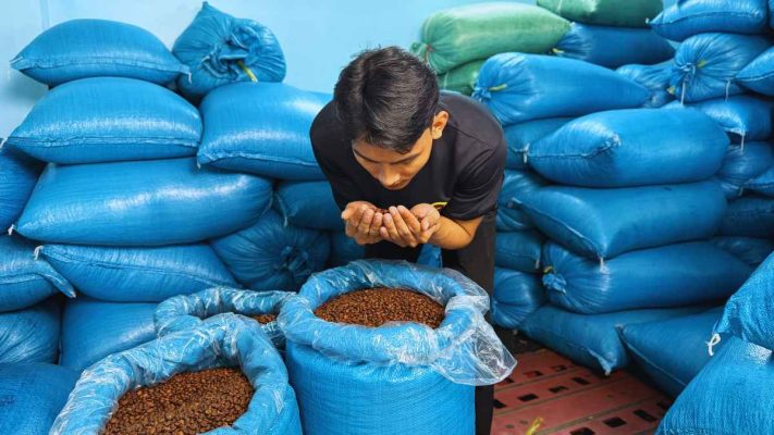 ông nhân Lyon Coffee kiểm tra hạt rang Medium-Dark cho Gu số 2