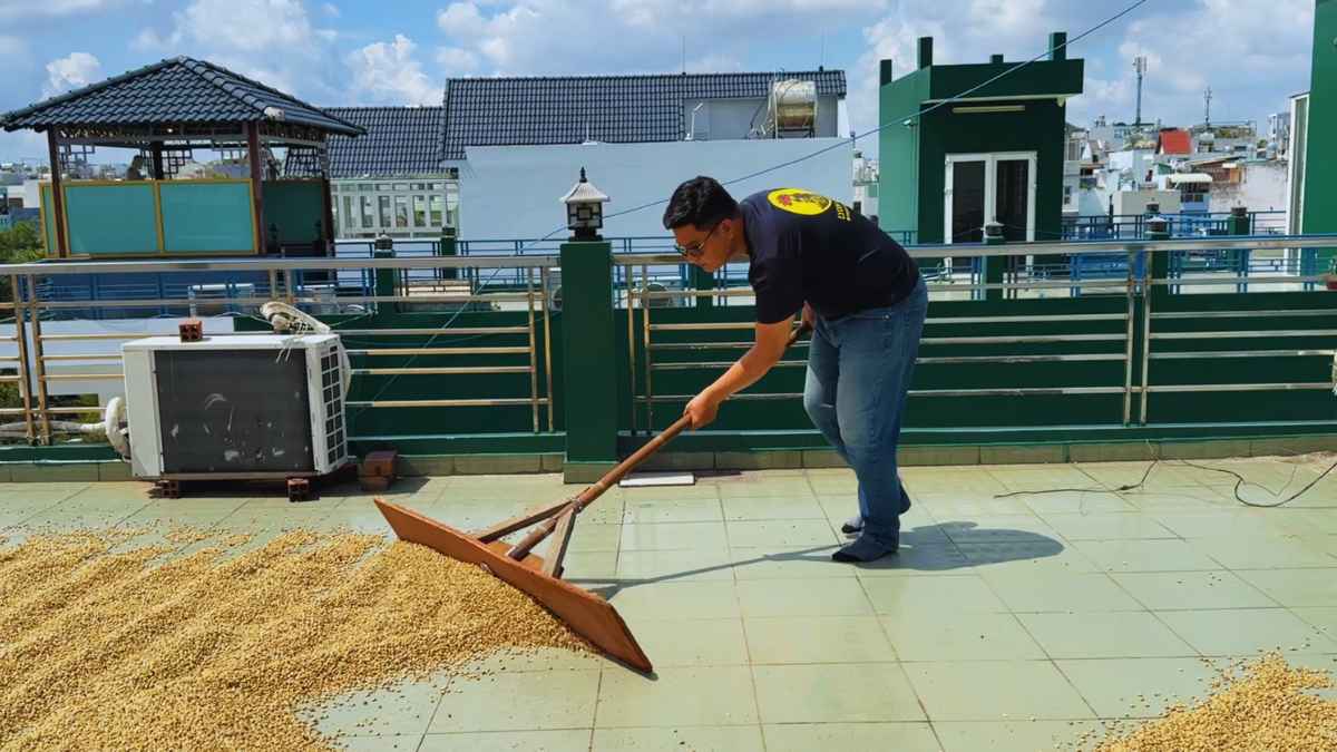 Nông dân sơ chế cà phê bằng washed & natural cho gu số 4.