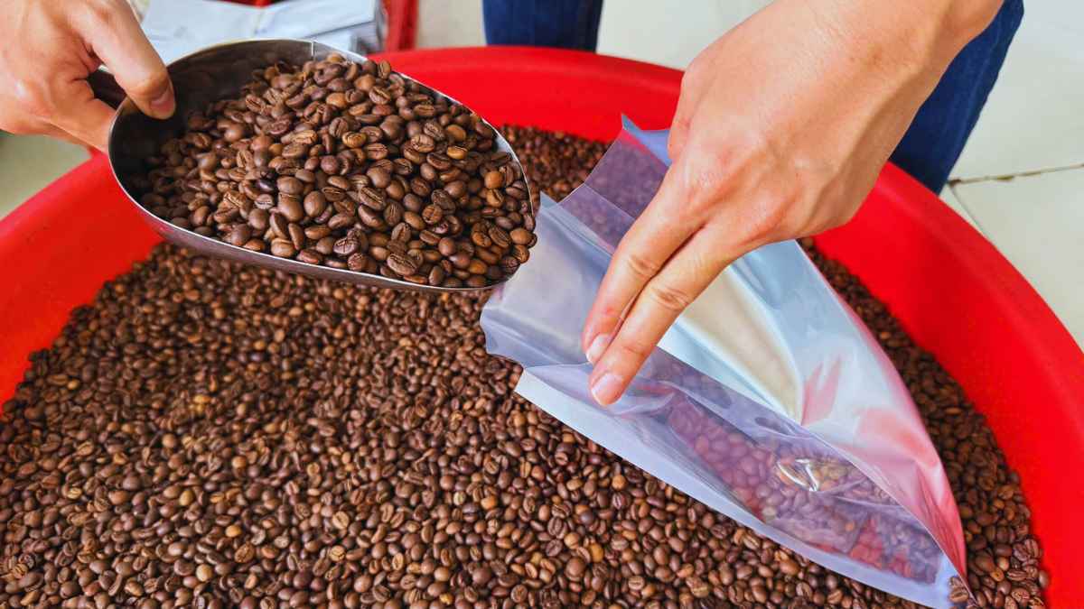 Hạt cà phê gu số 5 rang Medium-Dark, cân bằng vị mạnh và độ ngọt.