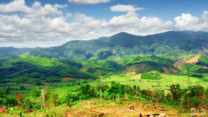 Robusta Fine từ nông trại Tây Nguyên đạt chuẩn quốc tế UTZ, Fairtrade.