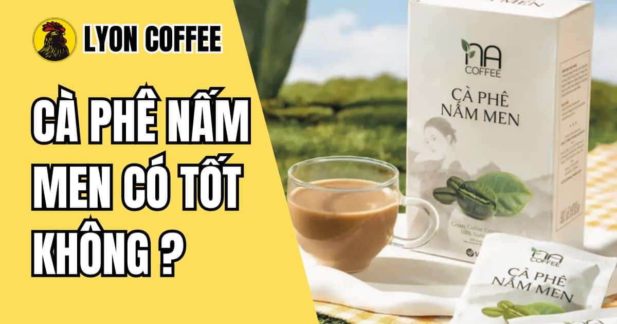 Cà phê nấm men là gì Giá bao nhiêu có tốt không Lyon Coffee