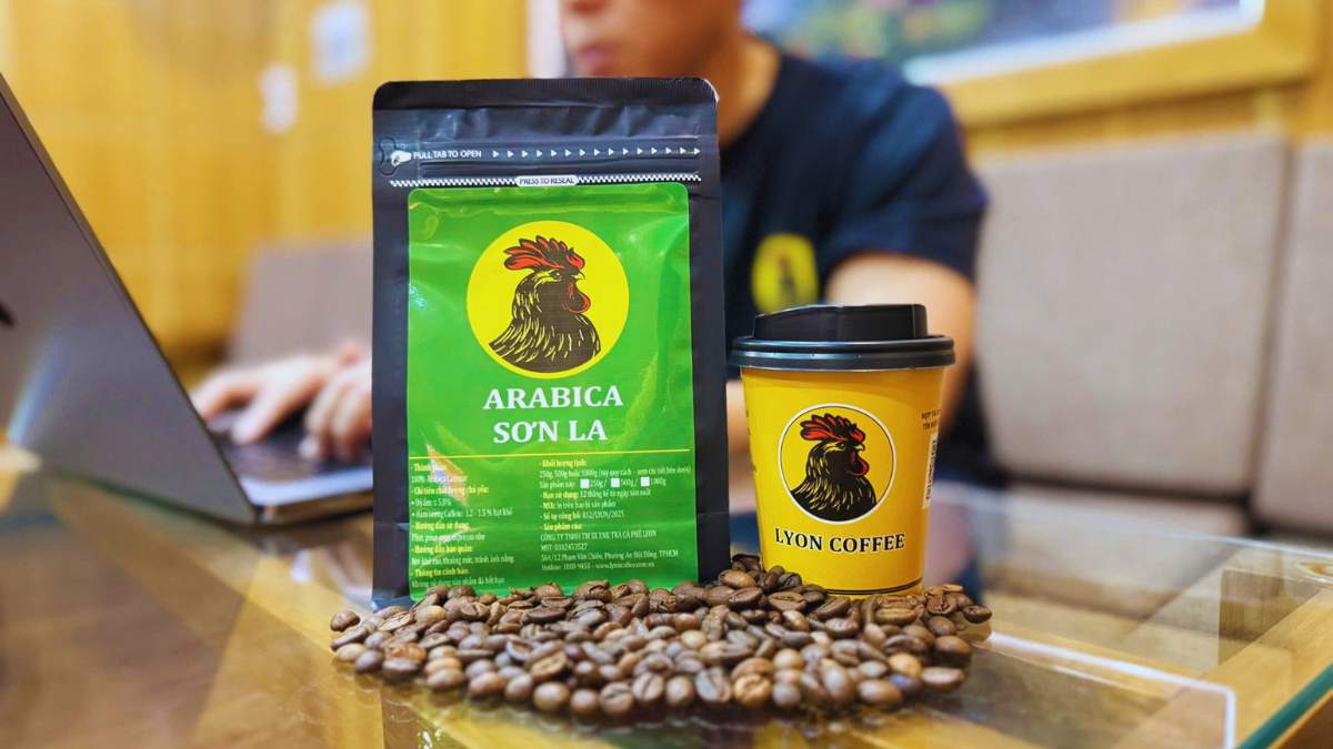 Arabica Sơn La rang vừa, phù hợp pour-over, phin và espresso nhẹ