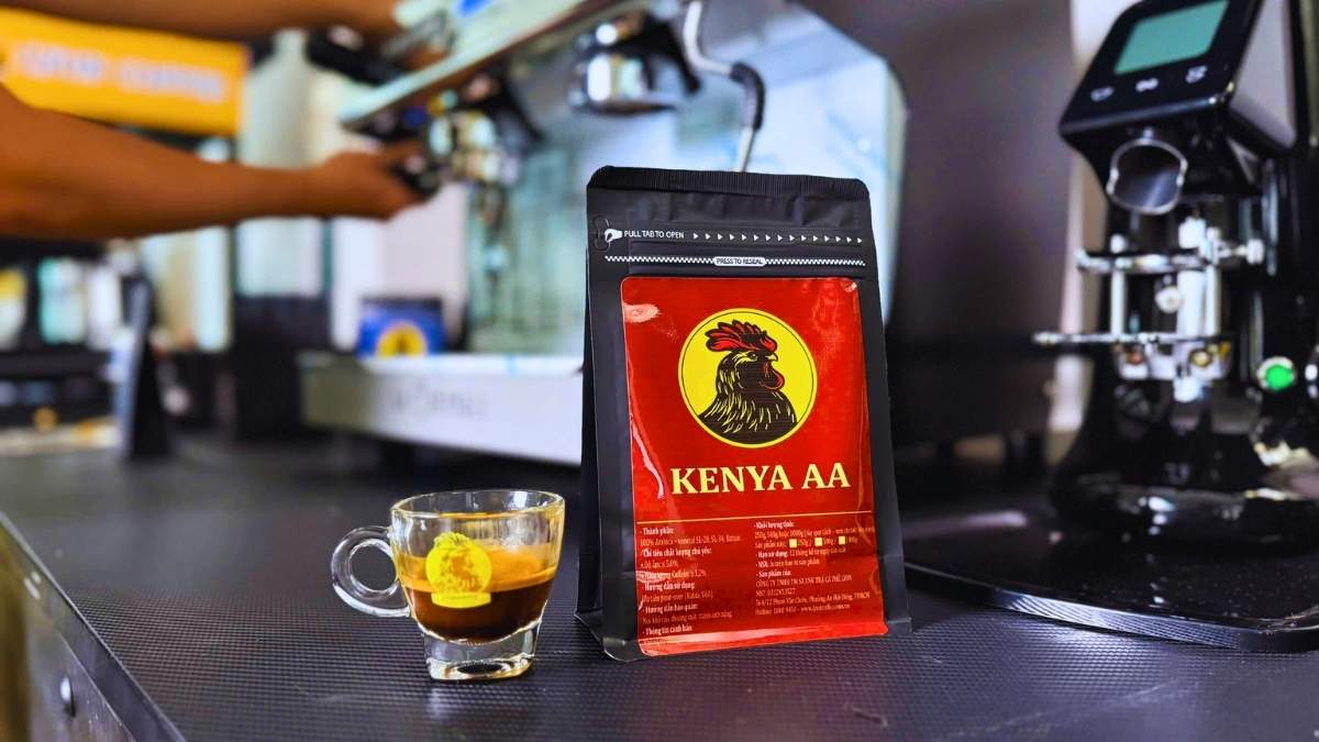 muốn trải nghiệm specialty coffee với hương sắc rõ ràng