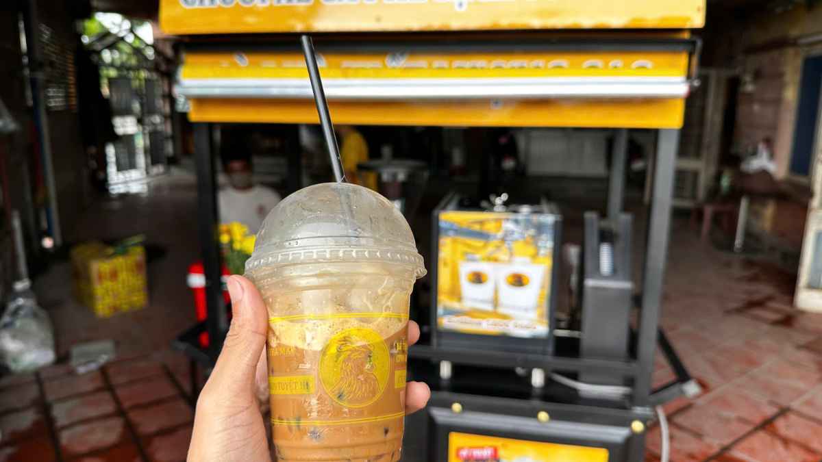 Gu số 3 được dùng trong đào tạo barista vì ổn định chiết xuất và latte art