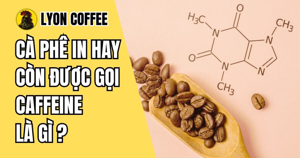 Caffeine là gì, tốt hay xấu cho sức khỏe?