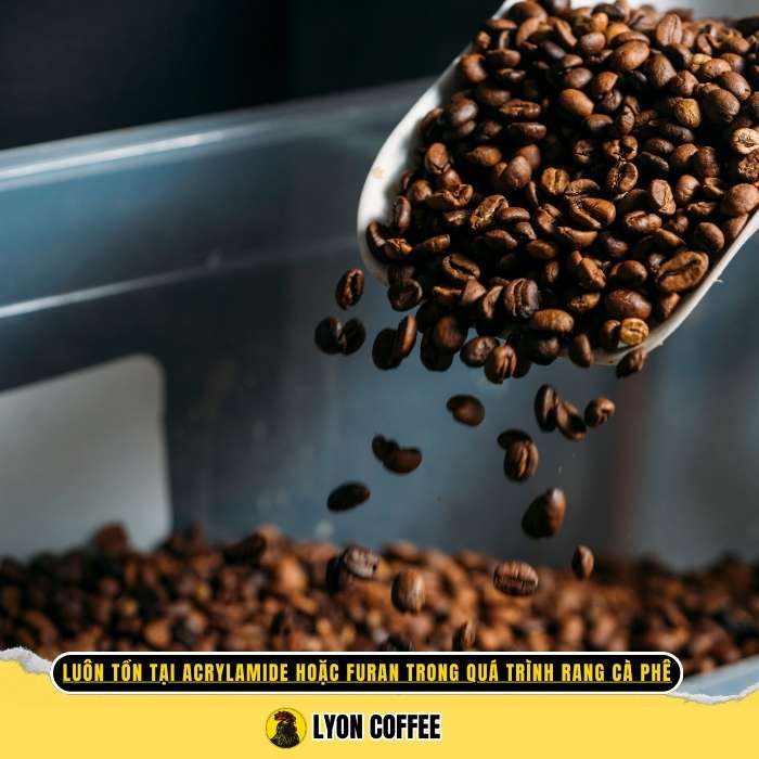 Rang cà phê ở nhiệt độ thấp góp phần giúp giảm đáng kể lượng Acrylamide sinh ra