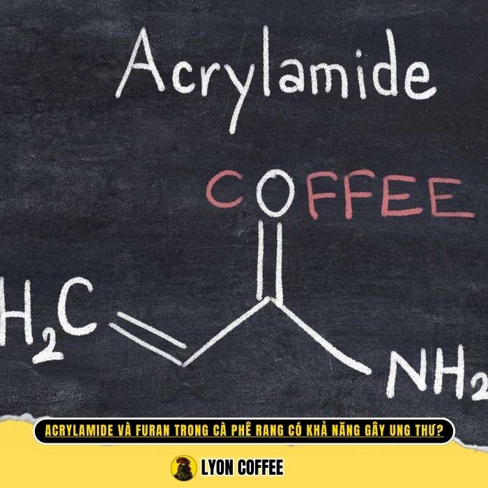 Giới thiệu về Acrylamide và Furan trong cà phê