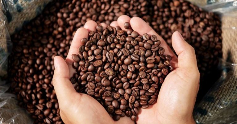 Hạt cà phê rang ăn được không có lợi không