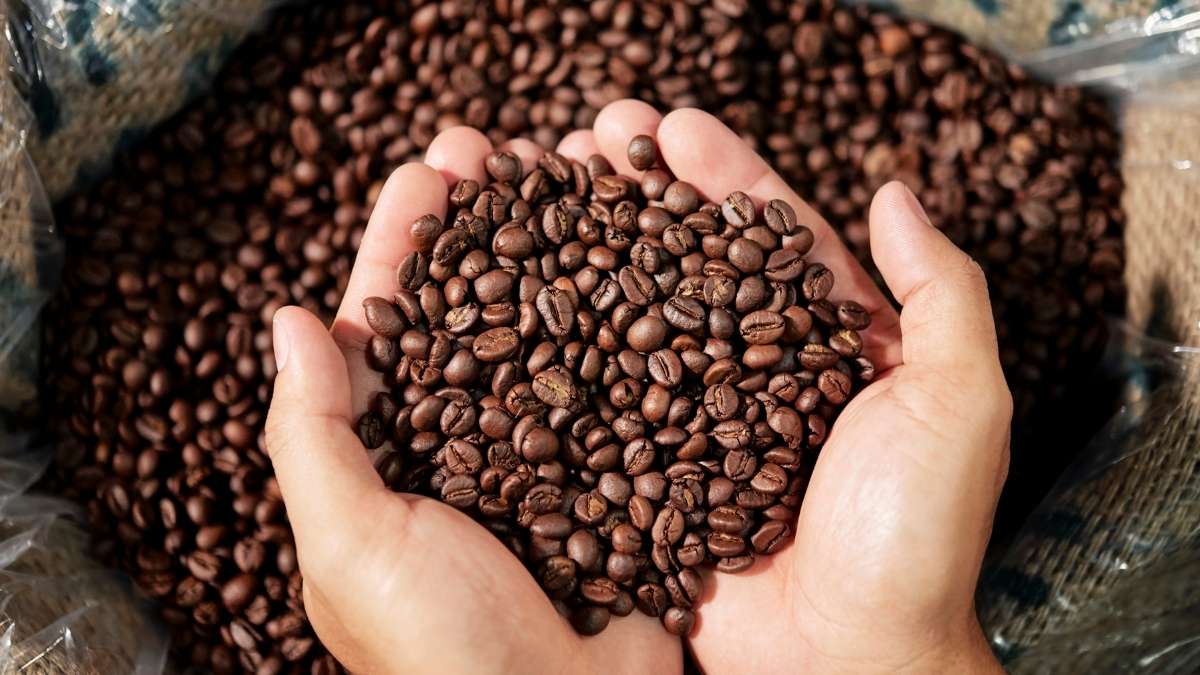  Ăn hạt cà phê rang có tốt không