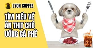 ăn thịt chó uống cà phê có sao không