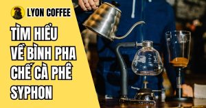 Bình pha chế cà phê Syphon