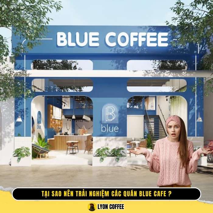 Tại sao nên trải nghiệm các quán Blue Cafe ngon gần đây nhất