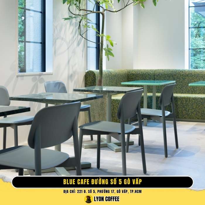 Blue Cafe Đường Số 5 Gò Vấp - Top quán cà phê ngon gần đây nhất