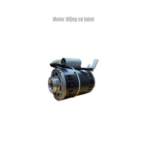 Motor
