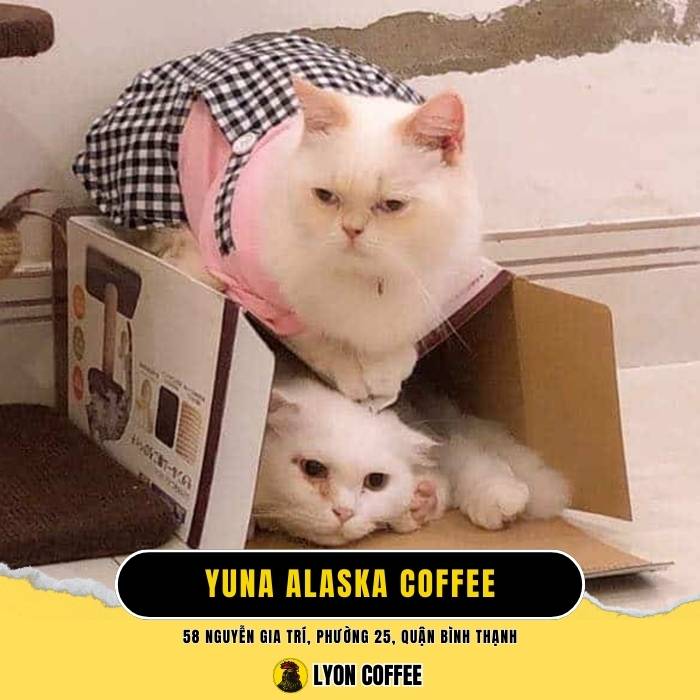 Yuna Alaska Coffee - Quán cà phê chó mèo ở Quận Bình Thạnh TPHCM