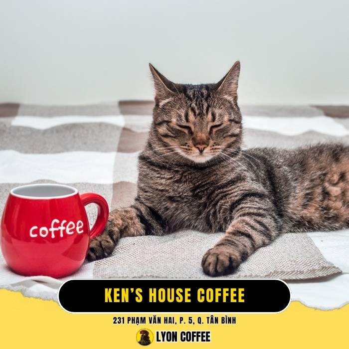 Ken’s House Coffee - Quán cafe chó mèo ở Quận Tân Bình TPHCM