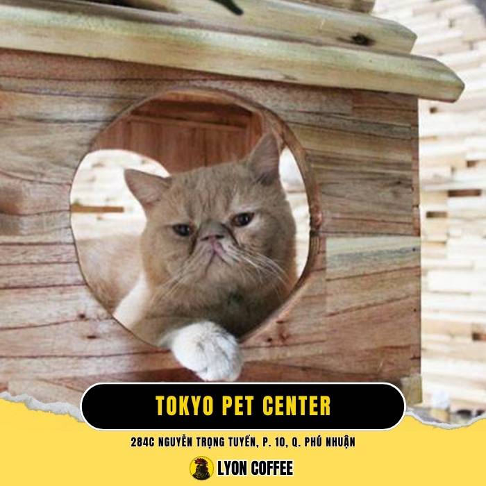 Tokyo Pet Center - Quán cafe chó mèo ở Quận Phú Nhuận TPHCM