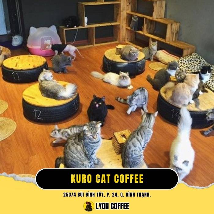Kuro Cat Coffee - Quán cafe chó mèo ở Quận Bình Thạnh TPHCM