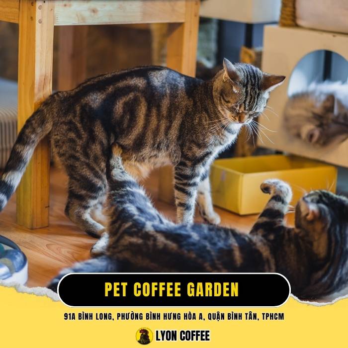 Pet Coffee Garden - Quán cafe chó mèo ở Quận Bình Tân TPHCM
