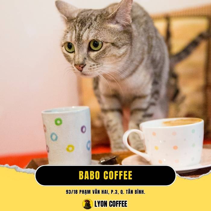 Babo Coffee - Quán cafe chó mèo ở Quận Tân Bình TPHCM