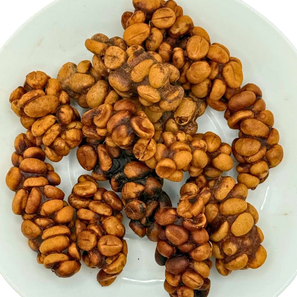 Cà phê chồn - Specialty coffee hiếm, hương vị độc đáo - Ảnh 3