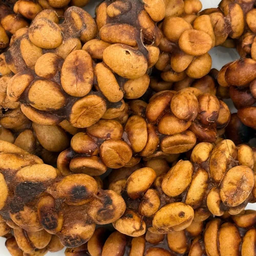 Cà phê chồn - Specialty coffee hiếm, hương vị độc đáo - Ảnh 4