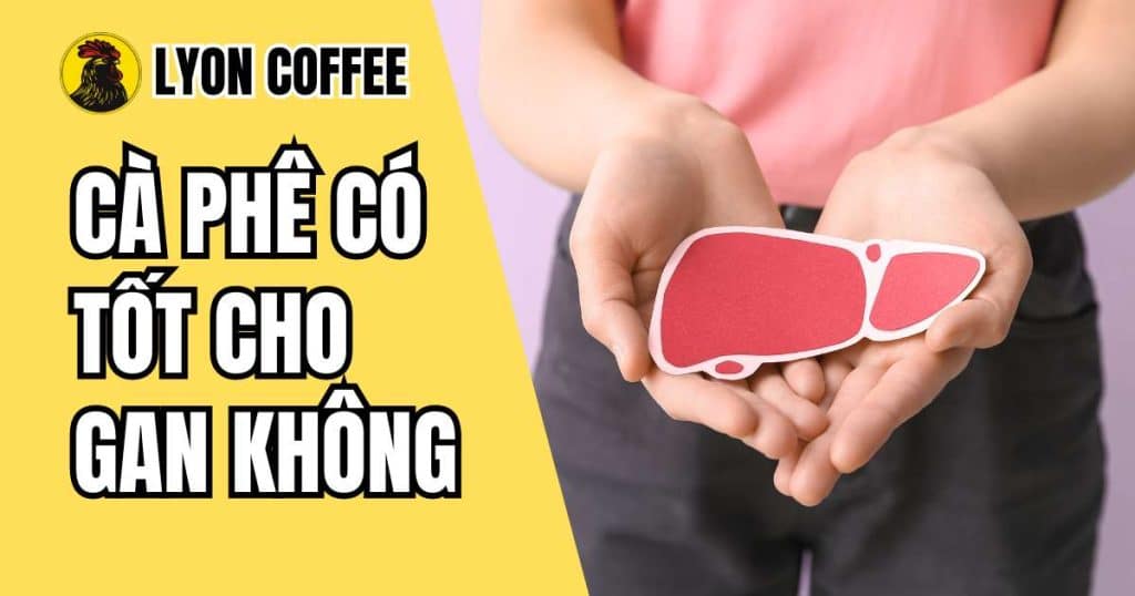 cà phê có tốt cho gan không