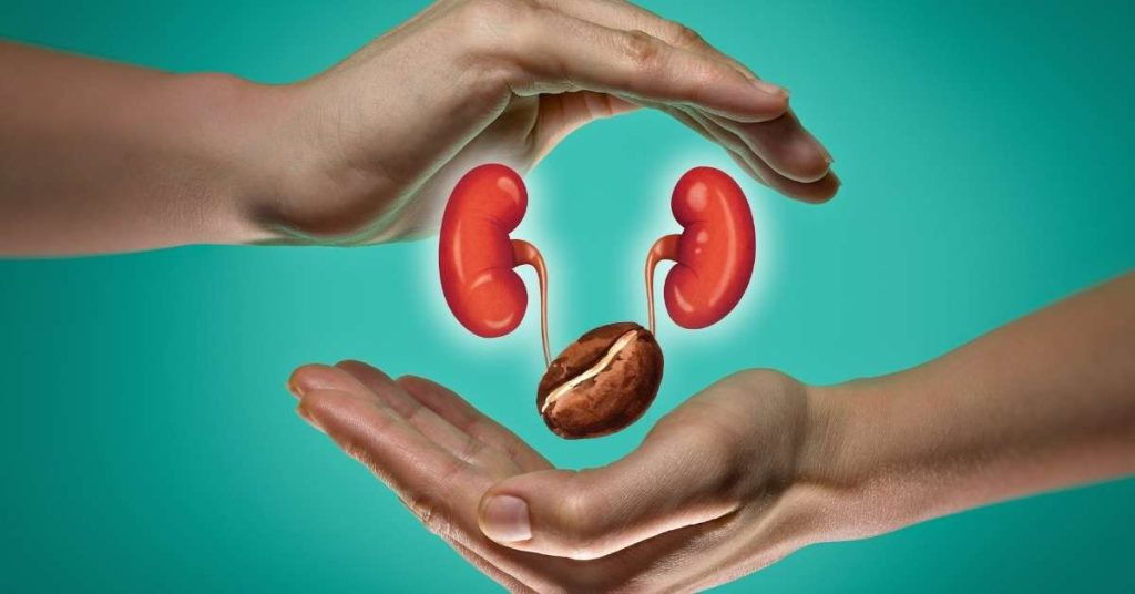 Đánh giá cà phê và sức khỏe thận lợi ích và nguy cơ