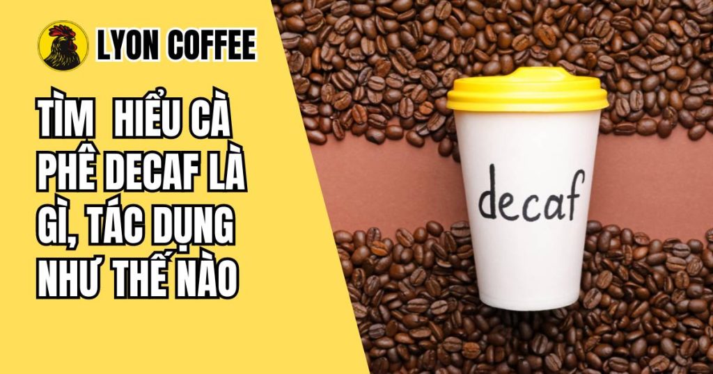Cà phê decaf là gì, tác dụng và cách sản xuất, so sánh nhận biết với cafe thông thường như thế nào
