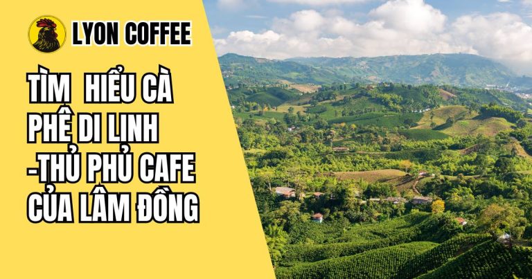 cà phê Di Linh, thủ phủ của Lâm Đồng