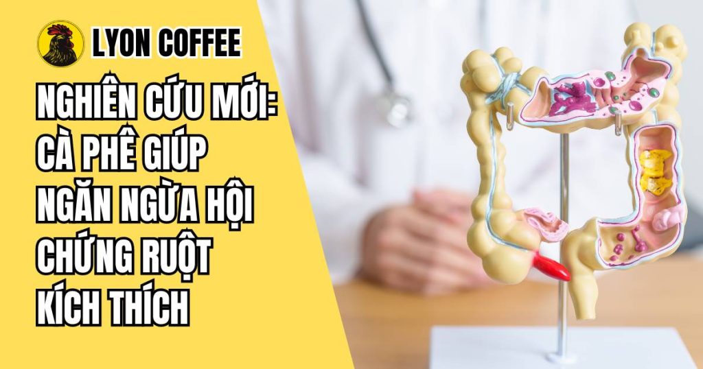 Cà phê giúp ngăn ngừa hội chứng ruột kích thích