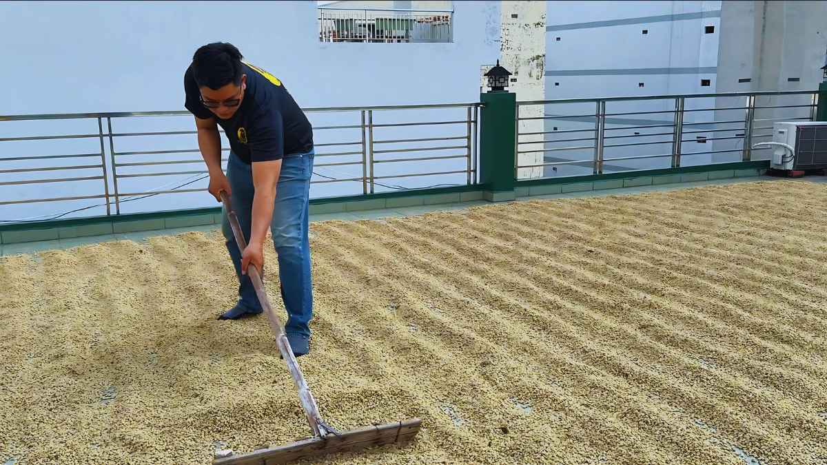 Nông dân sơ chế cà phê theo phương pháp washed, natural và honey cho gu số 2.