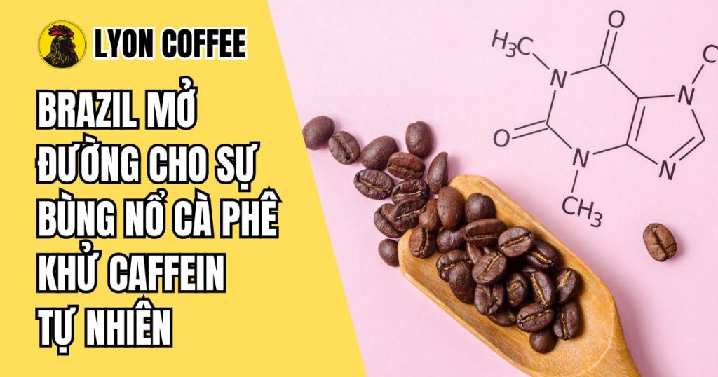 Công nghệ cà phê khử caffein tự nhiên