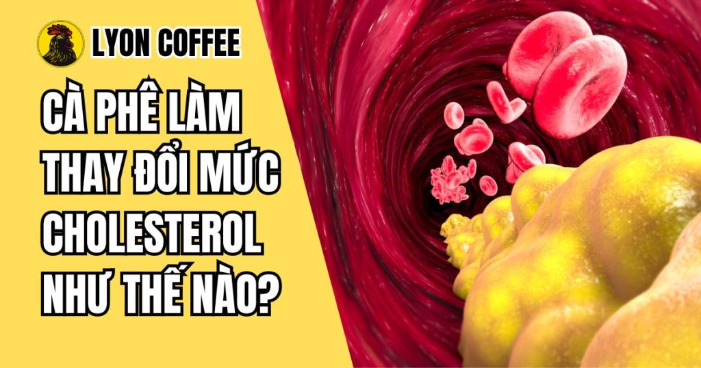 Cà phê làm thay đổi mức cholesterol như thế nào