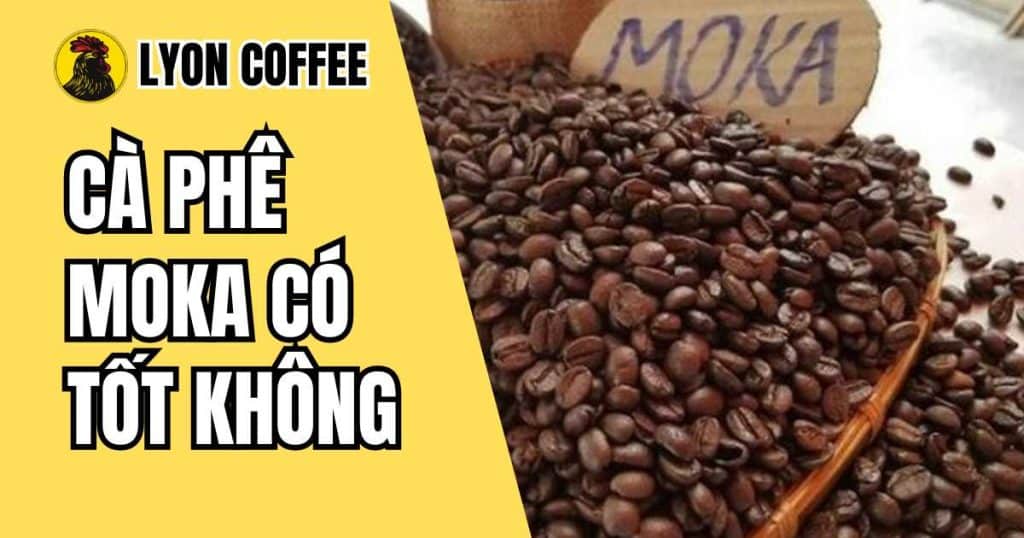 cà phê moka có tốt không