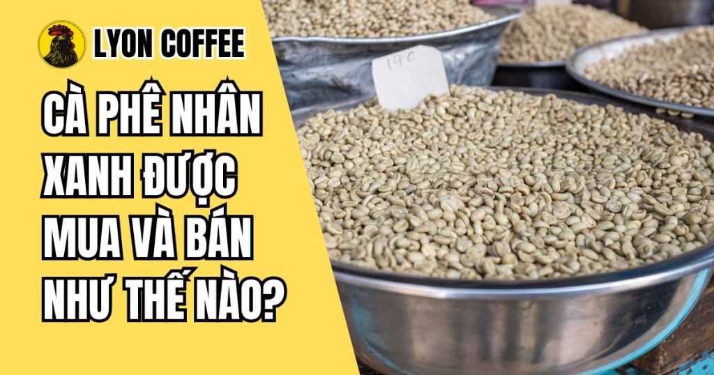 Cà phê nhân xanh được mua và bán như thế nào?