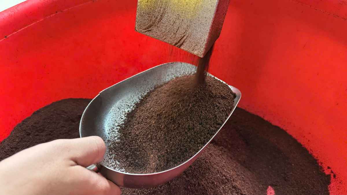 Hạt cà phê gu số 6 rang Medium-Dark, giữ vị đậm vừa, giảm chua.