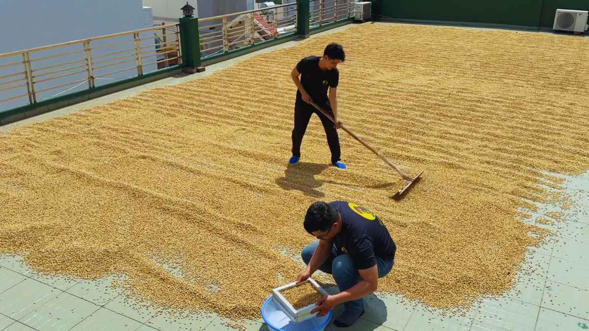 Quy trình sơ chế Washed & Natural cho gu số 6 giữ vị ổn định.