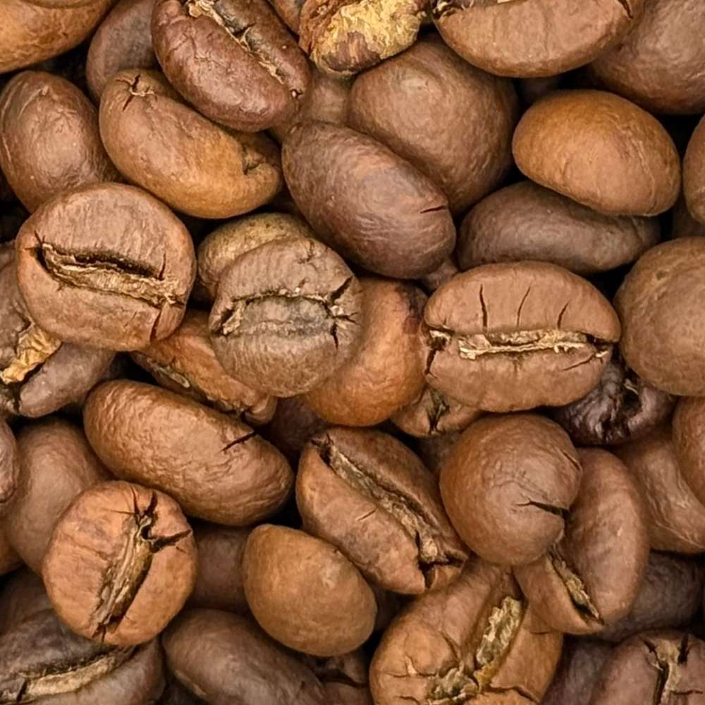 Cà phê hạt Robusta Fine - Ảnh 5