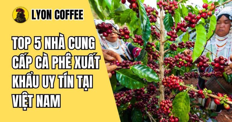 cà phê xuất khẩu uy tín