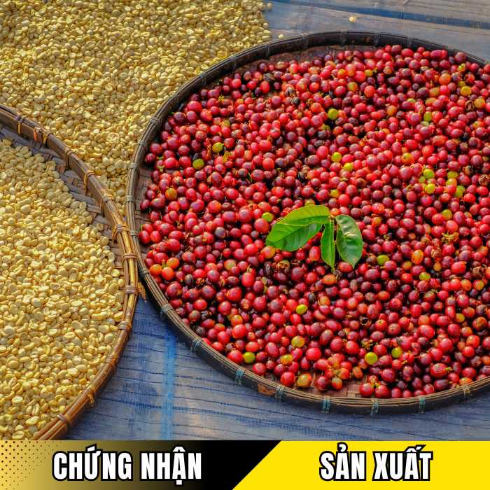 Chứng nhận cà phê hữu cơ