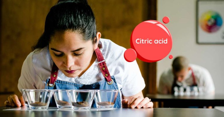 Cảm nhận hương vị cà phê qua cupping