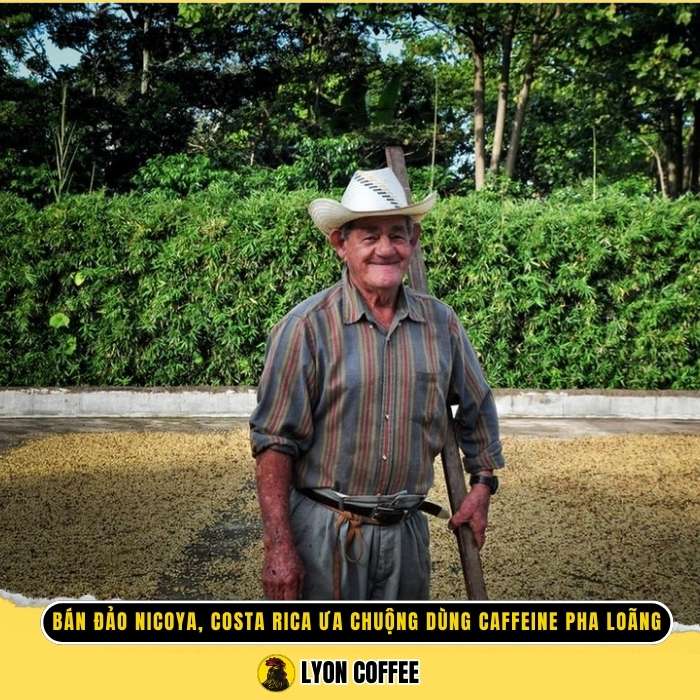 Bán Đảo Nicoya, Costa Rica không chỉ uống cà phê, họ sống và thở cà phê
