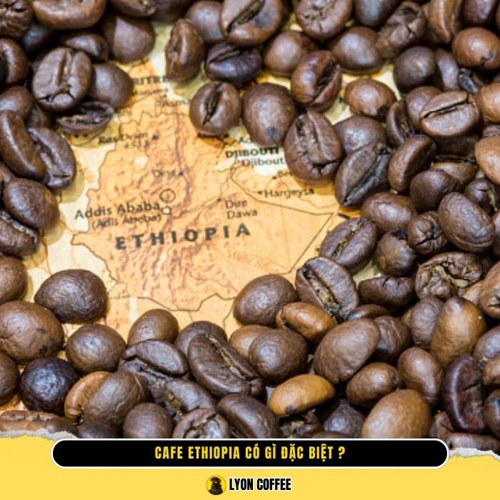 Cafe Ethiopia có gì đặc biệt?