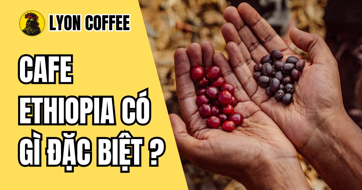 Cafe Ethiopia có gì đặc biệt?