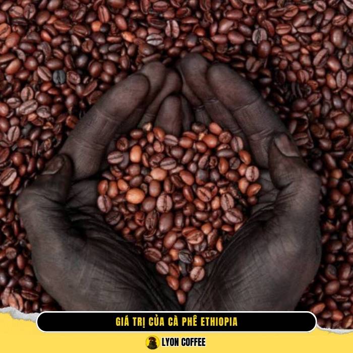 Giá trị của cà phê Ethiopia là gì?