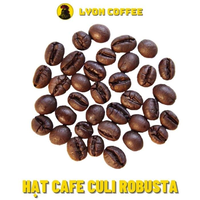 Cà phê Culi Robusta có vị gì